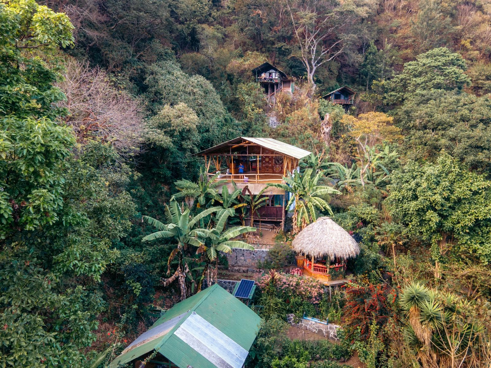 Cabins and the thatched rancho in the forest at Mystical Yoga Farm
